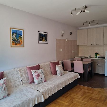 Studio Apartman Zvezdana Noc Vrnjacka Banja Exterior photo